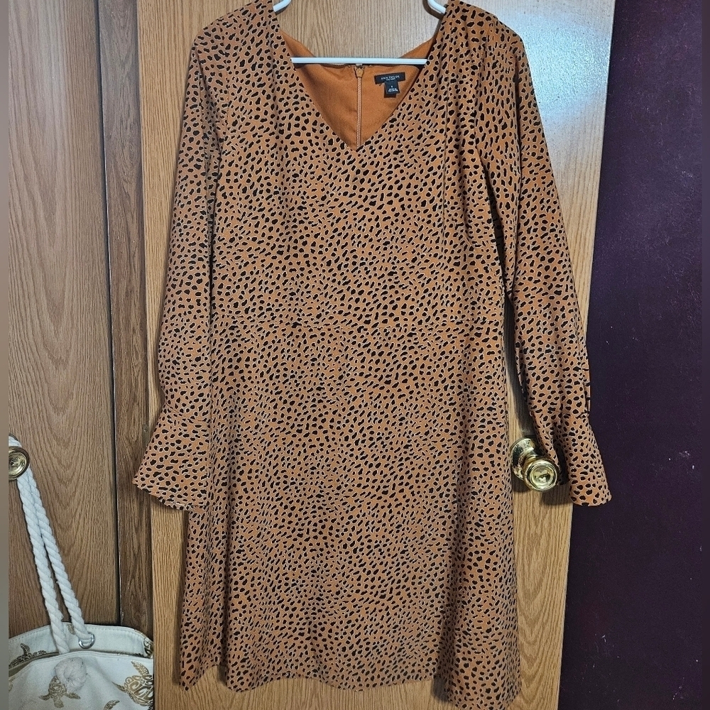 Ann Taylor Factory Animal Print Knee Length Dress!